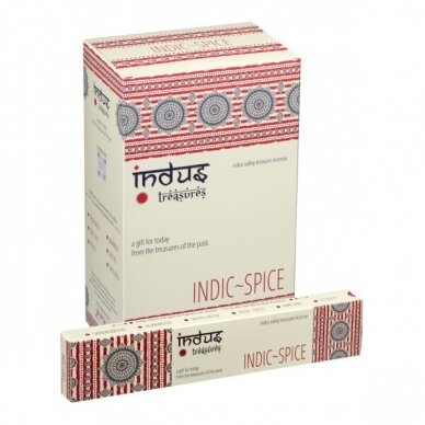 Banjara Indus Treasures Indic Spice smilkalai x 12