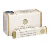 Garden Fresh Californian White Sage x 12